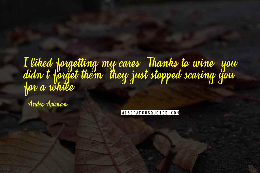 Andre Aciman Quotes: I liked forgetting my cares. Thanks to wine, you didn't forget them, they just stopped scaring you for a while.