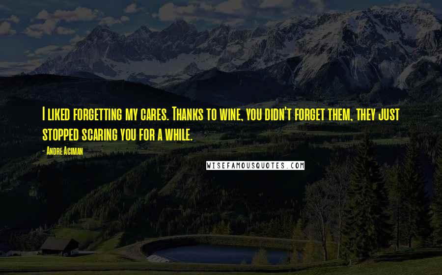 Andre Aciman Quotes: I liked forgetting my cares. Thanks to wine, you didn't forget them, they just stopped scaring you for a while.