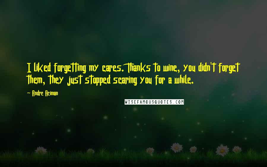 Andre Aciman Quotes: I liked forgetting my cares. Thanks to wine, you didn't forget them, they just stopped scaring you for a while.