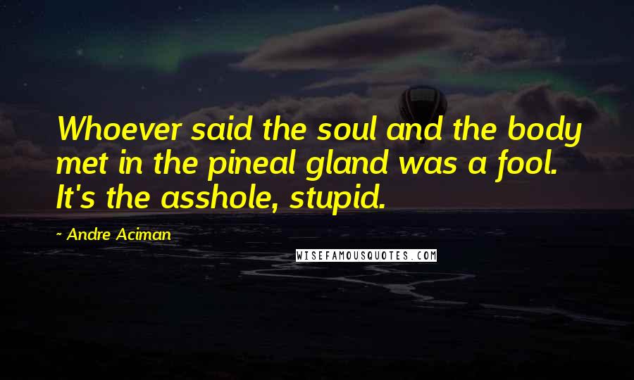 Andre Aciman Quotes: Whoever said the soul and the body met in the pineal gland was a fool. It's the asshole, stupid.