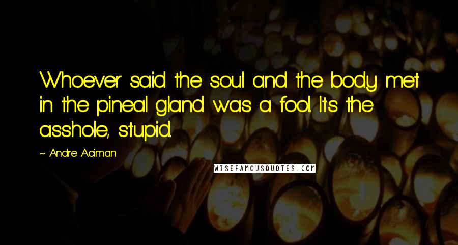 Andre Aciman Quotes: Whoever said the soul and the body met in the pineal gland was a fool. It's the asshole, stupid.