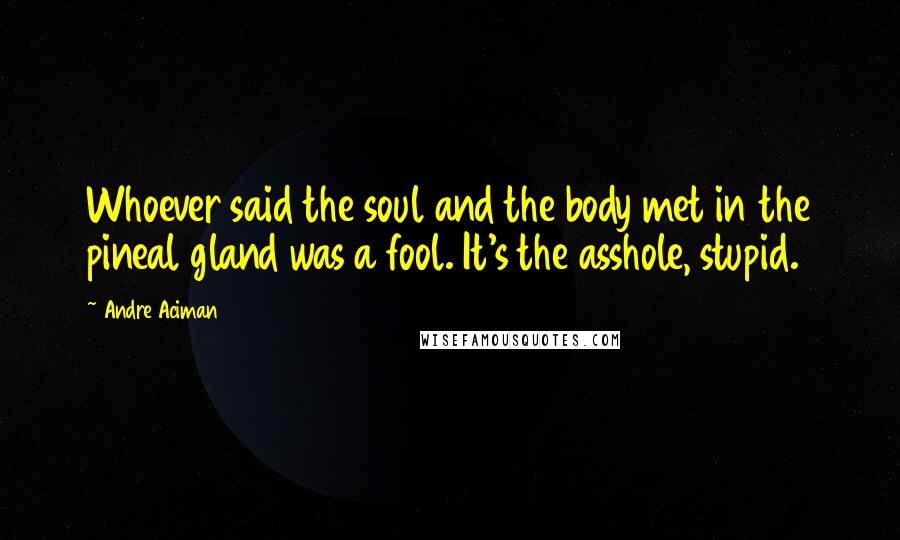 Andre Aciman Quotes: Whoever said the soul and the body met in the pineal gland was a fool. It's the asshole, stupid.