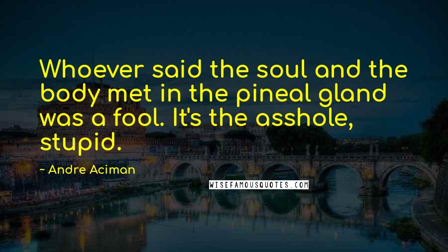 Andre Aciman Quotes: Whoever said the soul and the body met in the pineal gland was a fool. It's the asshole, stupid.