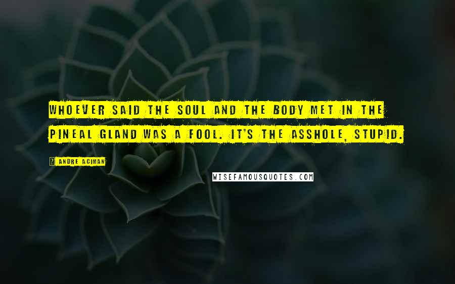 Andre Aciman Quotes: Whoever said the soul and the body met in the pineal gland was a fool. It's the asshole, stupid.