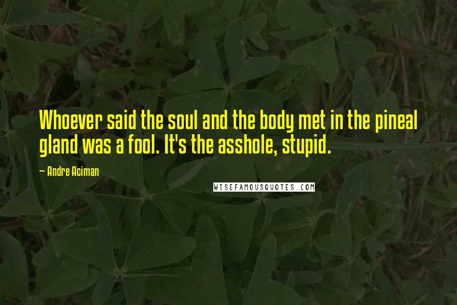 Andre Aciman Quotes: Whoever said the soul and the body met in the pineal gland was a fool. It's the asshole, stupid.