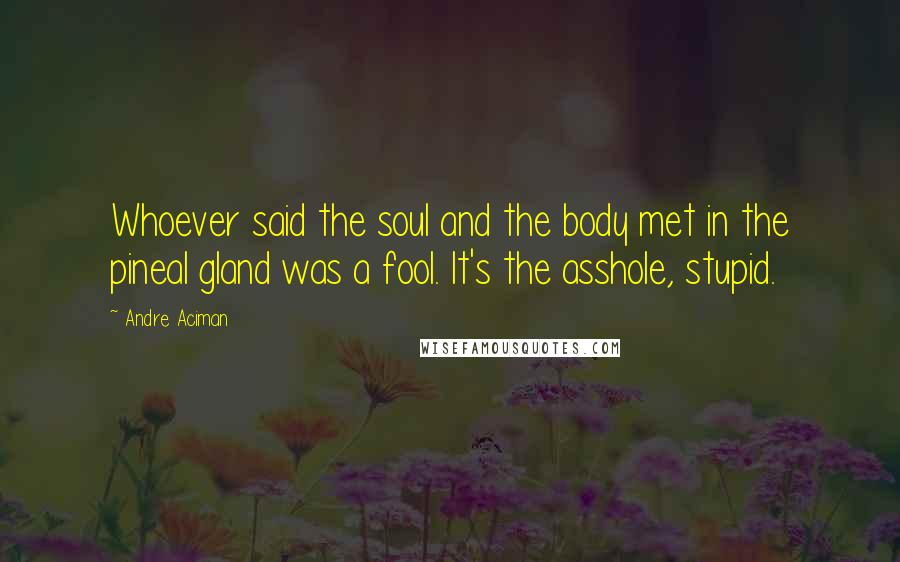 Andre Aciman Quotes: Whoever said the soul and the body met in the pineal gland was a fool. It's the asshole, stupid.