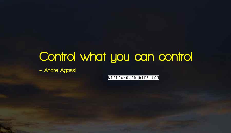 Andre Agassi Quotes: Control what you can control.