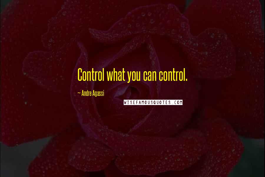 Andre Agassi Quotes: Control what you can control.