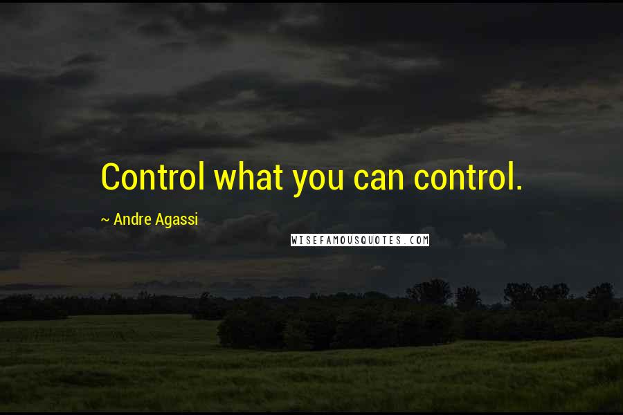 Andre Agassi Quotes: Control what you can control.