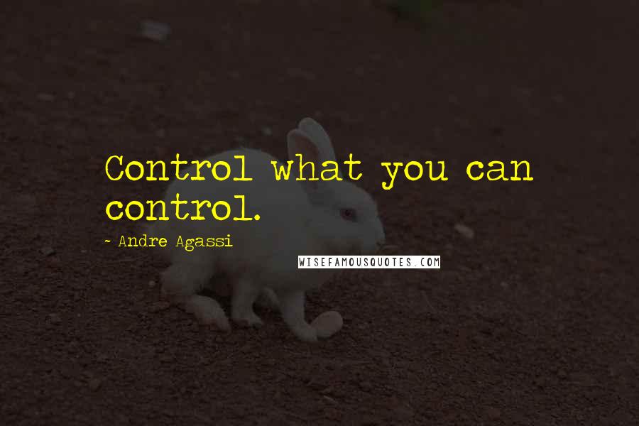 Andre Agassi Quotes: Control what you can control.