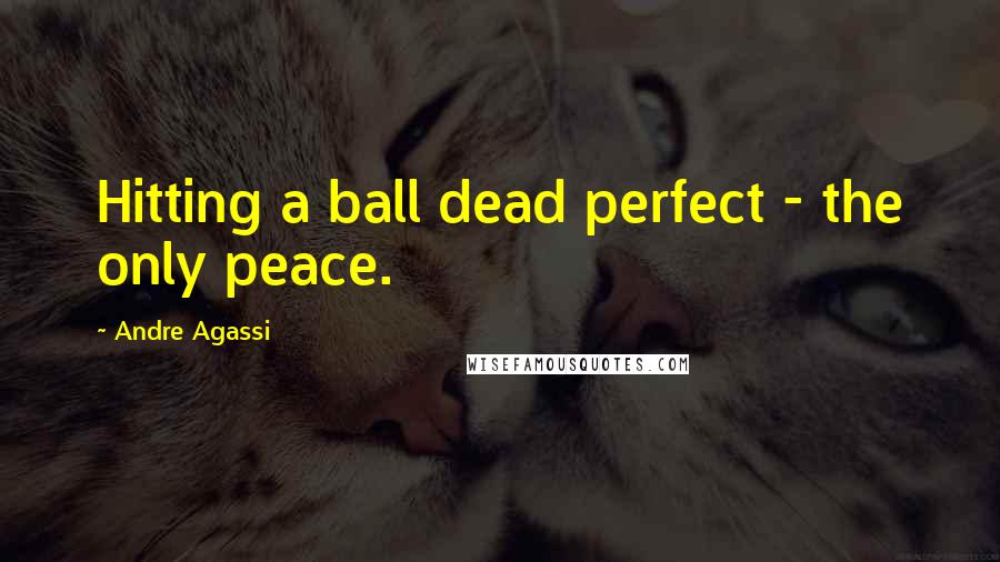 Andre Agassi Quotes: Hitting a ball dead perfect - the only peace.