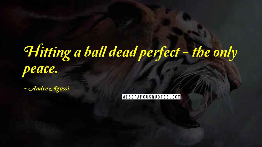 Andre Agassi Quotes: Hitting a ball dead perfect - the only peace.