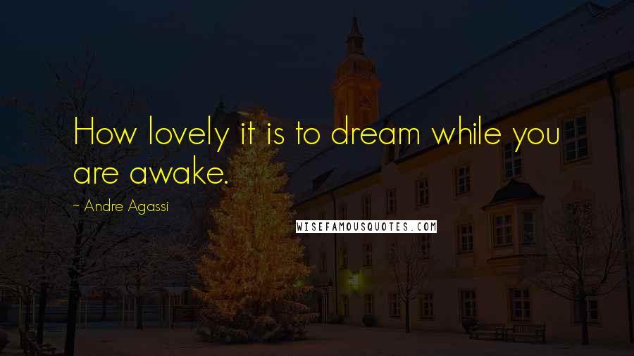 Andre Agassi Quotes: How lovely it is to dream while you are awake.