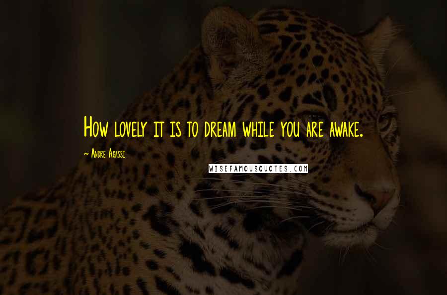 Andre Agassi Quotes: How lovely it is to dream while you are awake.