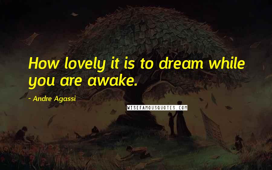 Andre Agassi Quotes: How lovely it is to dream while you are awake.