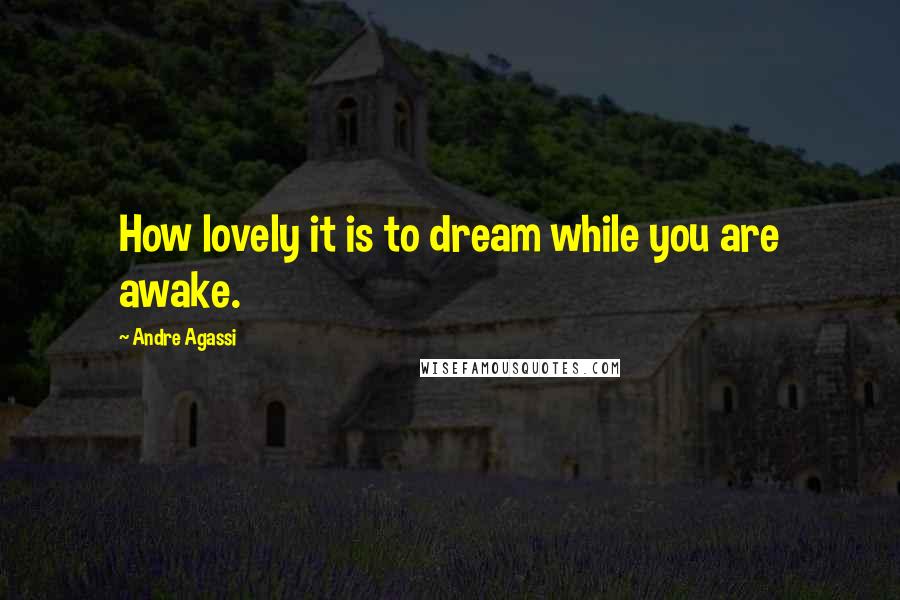 Andre Agassi Quotes: How lovely it is to dream while you are awake.