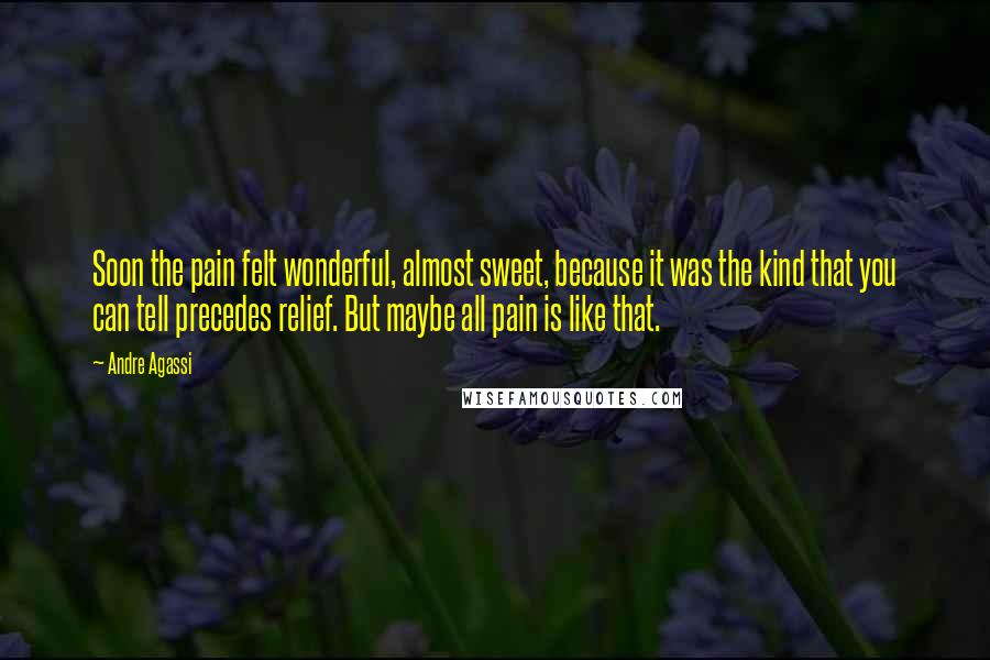 Andre Agassi Quotes: Soon the pain felt wonderful, almost sweet, because it was the kind that you can tell precedes relief. But maybe all pain is like that.