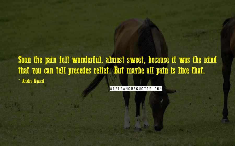 Andre Agassi Quotes: Soon the pain felt wonderful, almost sweet, because it was the kind that you can tell precedes relief. But maybe all pain is like that.