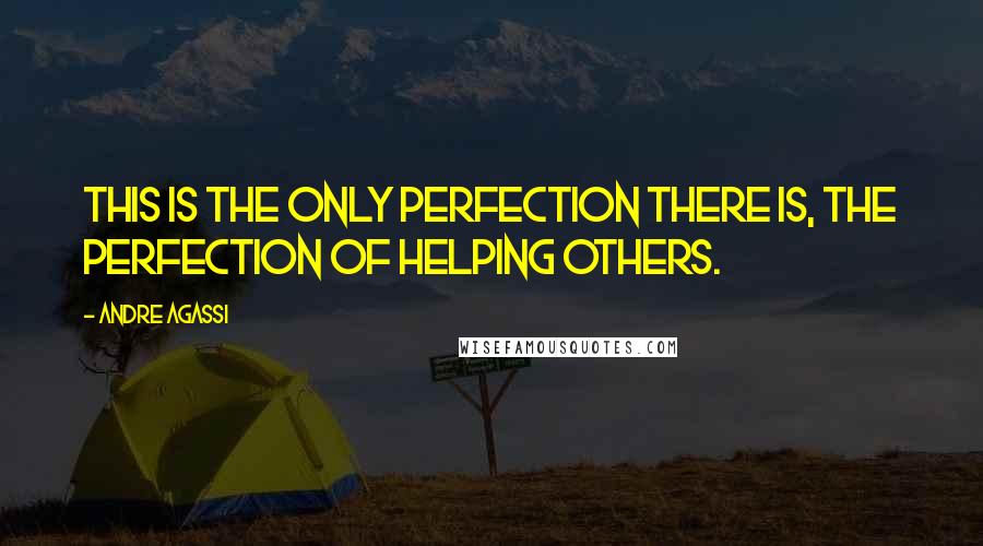 Andre Agassi Quotes: This is the only perfection there is, the perfection of helping others.