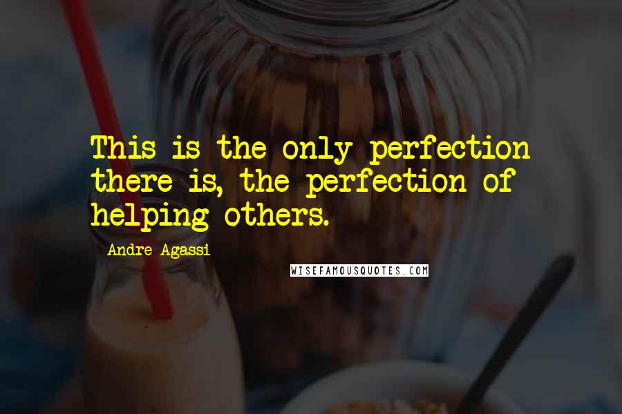 Andre Agassi Quotes: This is the only perfection there is, the perfection of helping others.