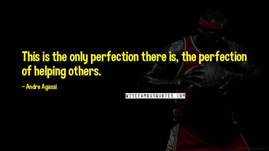Andre Agassi Quotes: This is the only perfection there is, the perfection of helping others.