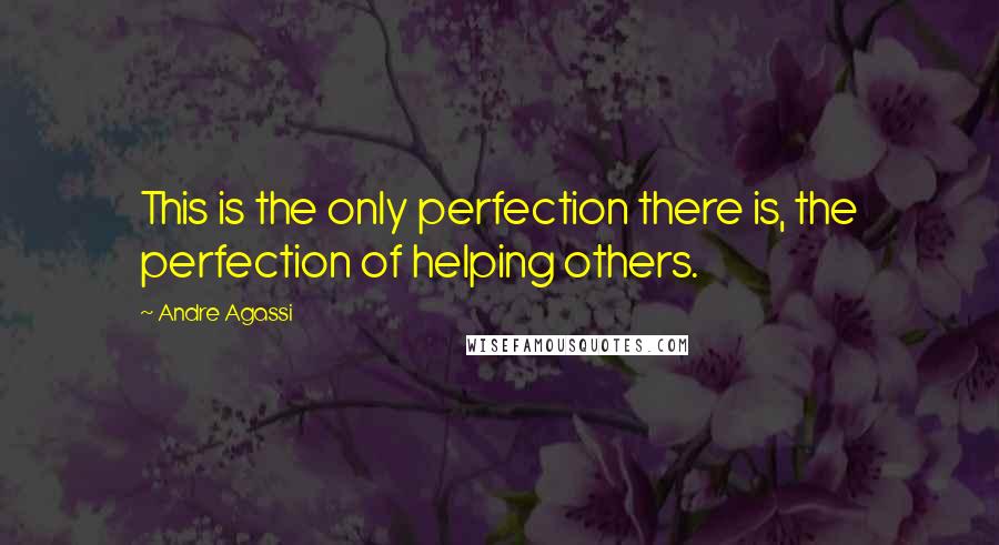 Andre Agassi Quotes: This is the only perfection there is, the perfection of helping others.