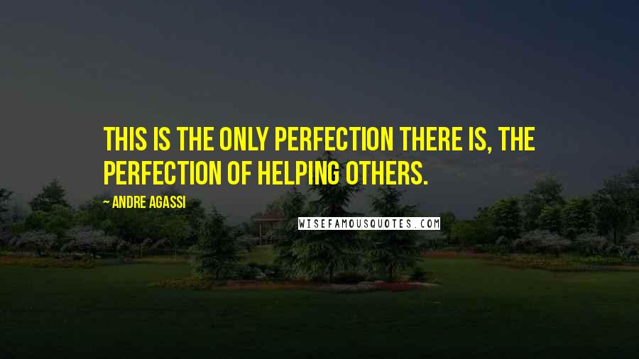 Andre Agassi Quotes: This is the only perfection there is, the perfection of helping others.