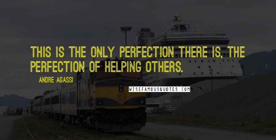 Andre Agassi Quotes: This is the only perfection there is, the perfection of helping others.