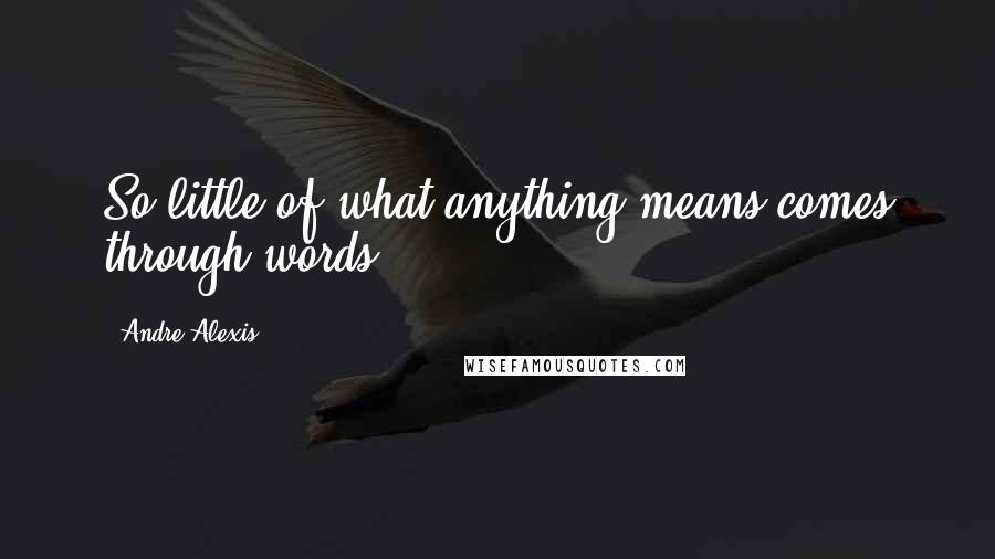 Andre Alexis Quotes: So little of what anything means comes through words.