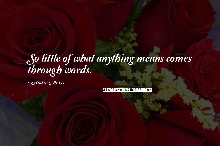 Andre Alexis Quotes: So little of what anything means comes through words.