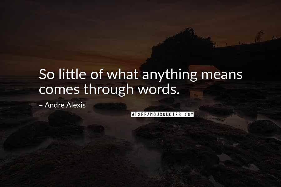 Andre Alexis Quotes: So little of what anything means comes through words.