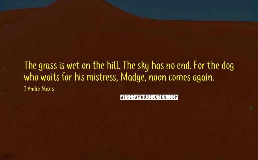 Andre Alexis Quotes: The grass is wet on the hill. The sky has no end. For the dog who waits for his mistress, Madge, noon comes again.