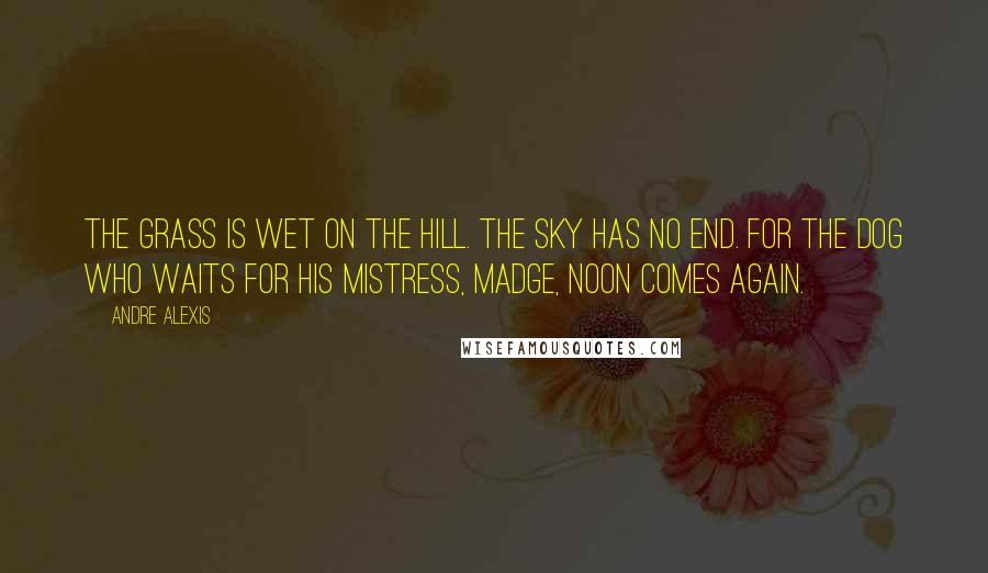 Andre Alexis Quotes: The grass is wet on the hill. The sky has no end. For the dog who waits for his mistress, Madge, noon comes again.