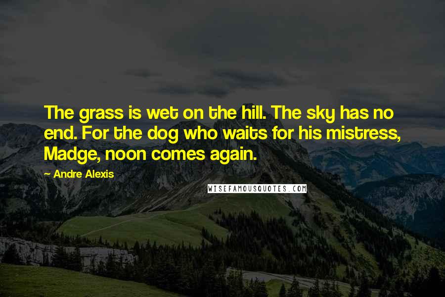 Andre Alexis Quotes: The grass is wet on the hill. The sky has no end. For the dog who waits for his mistress, Madge, noon comes again.