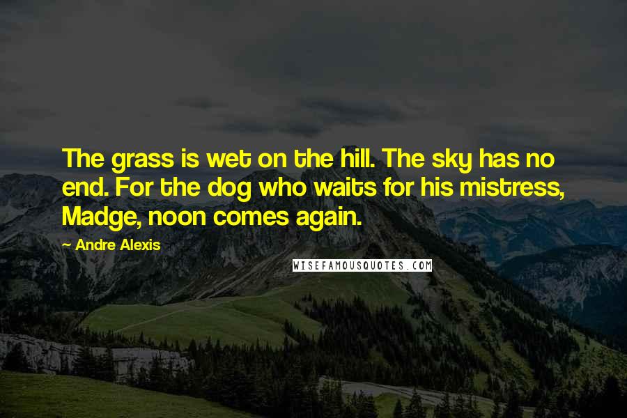 Andre Alexis Quotes: The grass is wet on the hill. The sky has no end. For the dog who waits for his mistress, Madge, noon comes again.