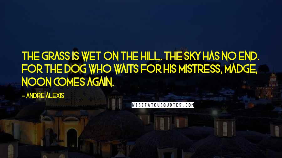 Andre Alexis Quotes: The grass is wet on the hill. The sky has no end. For the dog who waits for his mistress, Madge, noon comes again.