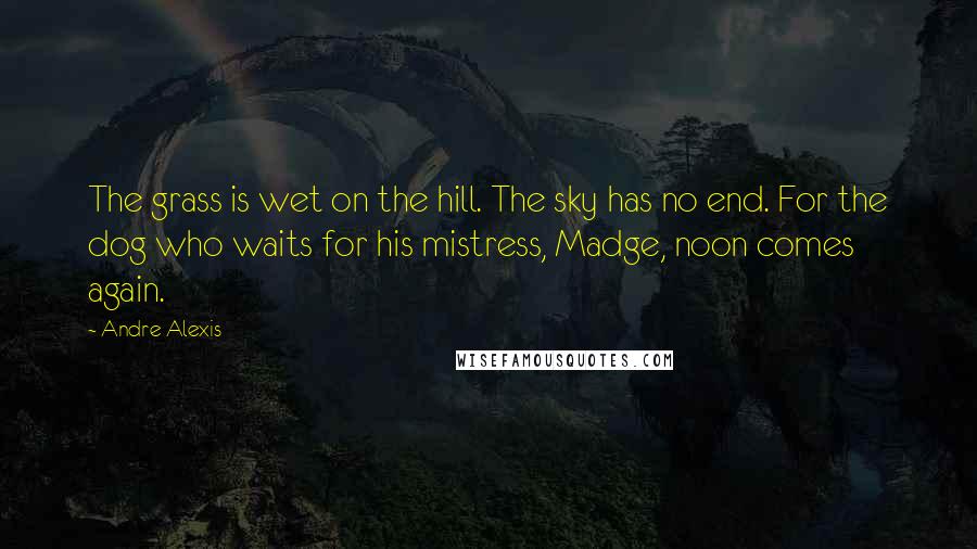 Andre Alexis Quotes: The grass is wet on the hill. The sky has no end. For the dog who waits for his mistress, Madge, noon comes again.