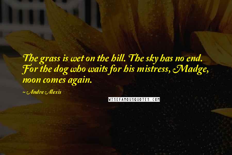 Andre Alexis Quotes: The grass is wet on the hill. The sky has no end. For the dog who waits for his mistress, Madge, noon comes again.