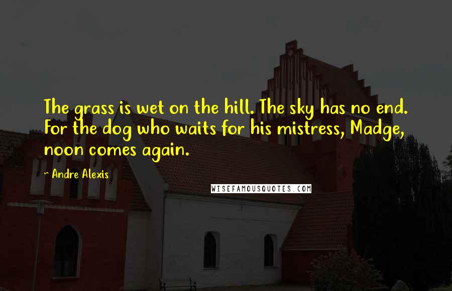 Andre Alexis Quotes: The grass is wet on the hill. The sky has no end. For the dog who waits for his mistress, Madge, noon comes again.