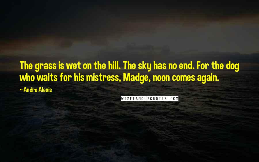 Andre Alexis Quotes: The grass is wet on the hill. The sky has no end. For the dog who waits for his mistress, Madge, noon comes again.