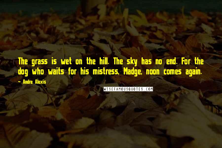 Andre Alexis Quotes: The grass is wet on the hill. The sky has no end. For the dog who waits for his mistress, Madge, noon comes again.