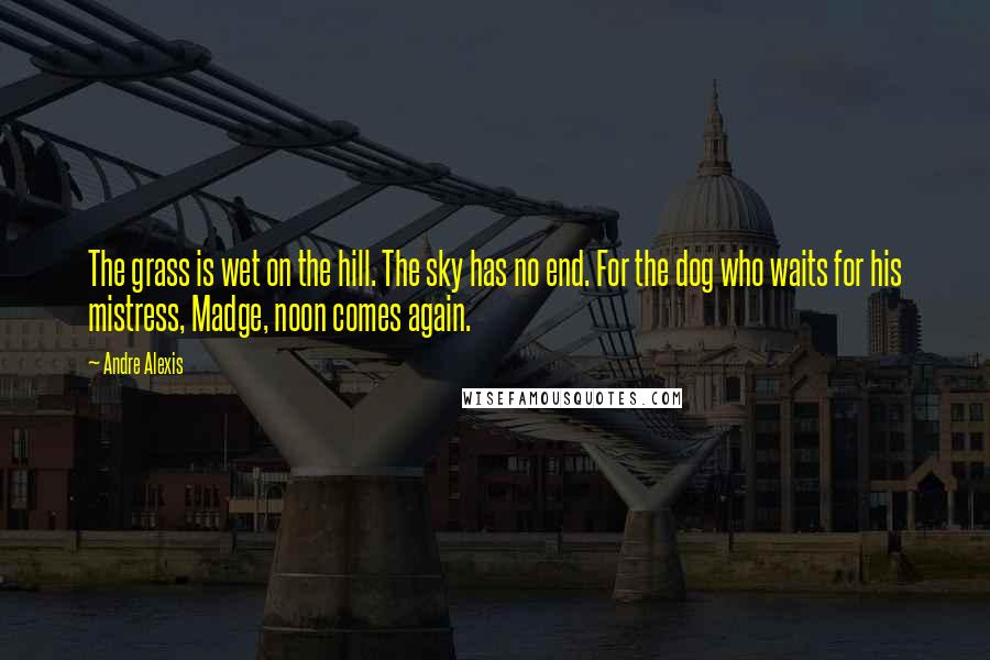 Andre Alexis Quotes: The grass is wet on the hill. The sky has no end. For the dog who waits for his mistress, Madge, noon comes again.