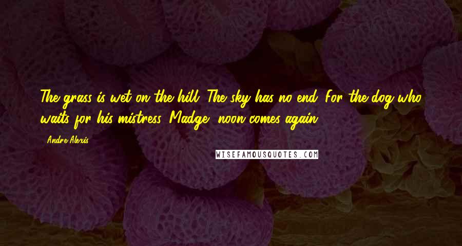 Andre Alexis Quotes: The grass is wet on the hill. The sky has no end. For the dog who waits for his mistress, Madge, noon comes again.