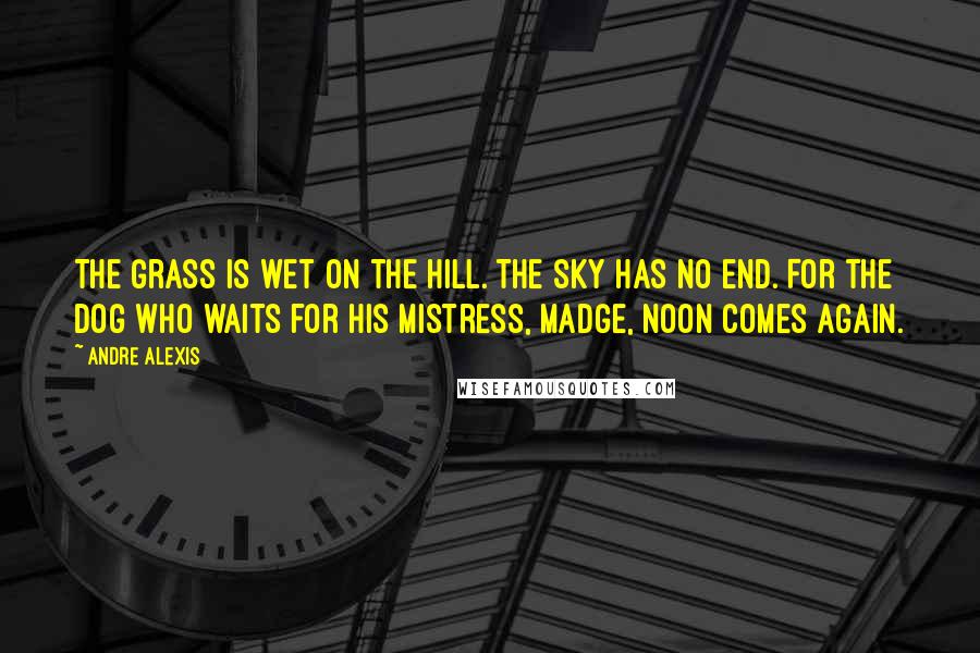 Andre Alexis Quotes: The grass is wet on the hill. The sky has no end. For the dog who waits for his mistress, Madge, noon comes again.