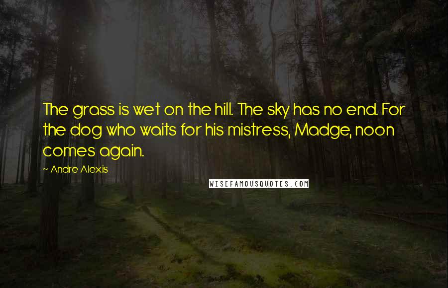 Andre Alexis Quotes: The grass is wet on the hill. The sky has no end. For the dog who waits for his mistress, Madge, noon comes again.