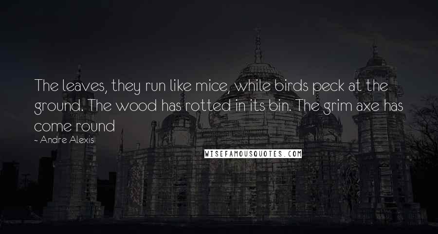 Andre Alexis Quotes: The leaves, they run like mice, while birds peck at the ground. The wood has rotted in its bin. The grim axe has come round