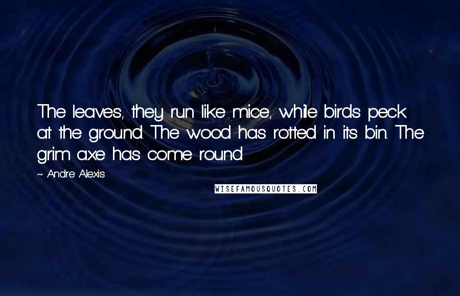 Andre Alexis Quotes: The leaves, they run like mice, while birds peck at the ground. The wood has rotted in its bin. The grim axe has come round