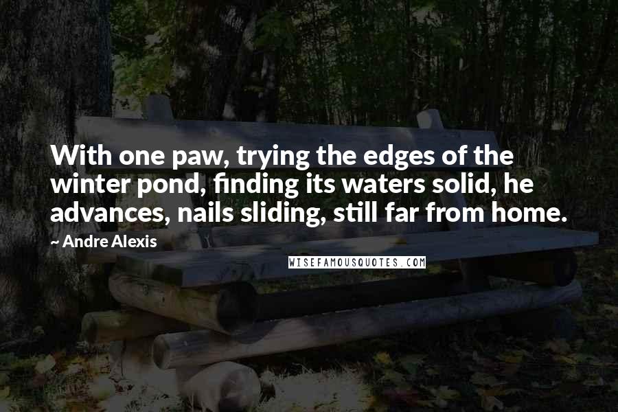 Andre Alexis Quotes: With one paw, trying the edges of the winter pond, finding its waters solid, he advances, nails sliding, still far from home.