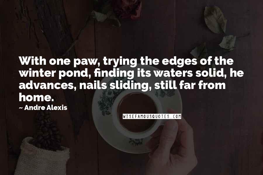 Andre Alexis Quotes: With one paw, trying the edges of the winter pond, finding its waters solid, he advances, nails sliding, still far from home.