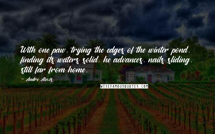 Andre Alexis Quotes: With one paw, trying the edges of the winter pond, finding its waters solid, he advances, nails sliding, still far from home.